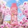 Gel Douche Tulipan Negro Rose Bloom 650Ml