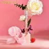 Set 2 Gloss Kevin & Coco Kc247394