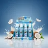 Lot de 12 (2€ La pièce) - Body Lotion Intense Coconut Chantilly - D'Donna Skin Care Lot de 12 (2€ La pièce) - Body Lotion Intense Coconut Chantilly - D'Donna Skin Care