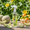 Spray désodorisant melon The Fruit Company x6