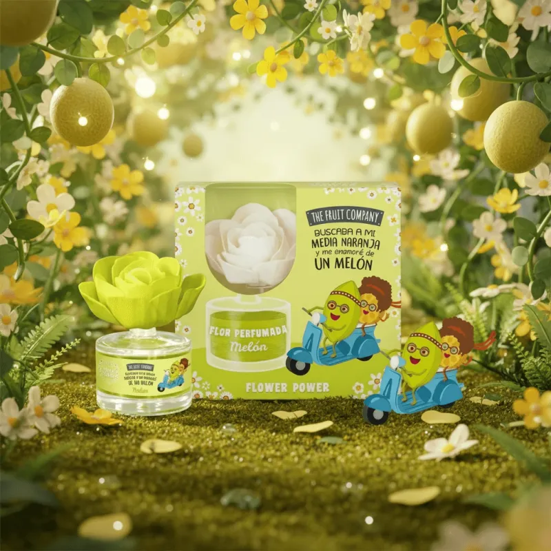 Coffret Mikado Fruit Co Melon 50Ml