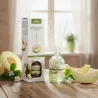 Mikado Prady Melon 100Ml