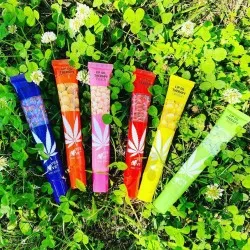 Gloss CBD Fruité Yes Love – Saveurs variées