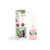 Mikado Prady Pastèque 100Ml
